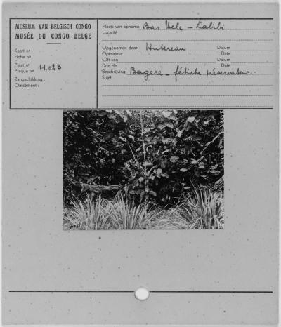 \\MEDIAS\collections\TMS\AP\AP.0.0.11023_FICHE_01.jpg
