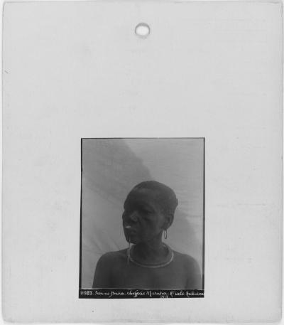 \\MEDIAS\collections\TMS\AP\AP.0.0.11983_FICHE_02.jpg