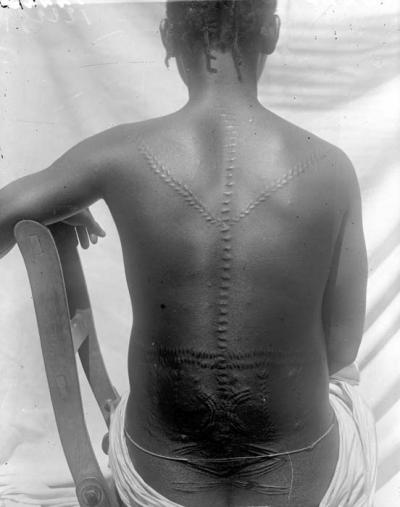 \\MEDIAS\collections\TMS\AP\AP.0.0.12225_NEG_01.jpg