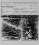 \\MEDIAS\collections\TMS\AP\AP.0.0.303_FICHE_01.jpg