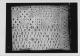 \\172.16.4.250\Qweb\Pict-ordered\7603\AFM_1819_REP_7603\BESTAND_2\AFM_1819_REP_7603_012\AFM_1819_REP_7603_012_008_01_PHOTO.jpg