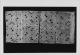 \\172.16.4.250\Qweb\Pict-ordered\7603\AFM_1819_REP_7603\BESTAND_2\AFM_1819_REP_7603_018\AFM_1819_REP_7603_018_012_PHOTO.jpg