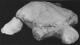 \\172.16.4.250\Qweb\Pict-ordered\7654\AFM_1819_REP_7654\BESTAND_2\AFM_1819_REP_7654_007\AFM_1819_REP_7654_007_029_PHOTO.jpg